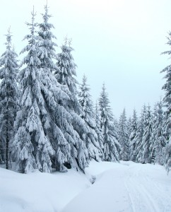 Winter in Oberbärenburg - Foto: die-infoseiten.de